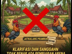 Tegaskan Isu “Kebal Hukum” Tidak Benar, Aparat dan Warga Jatikalang Buka Suara: Tidak Ada Pembiaran Arena Sambung Ayam.