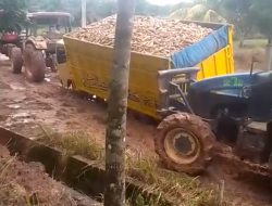 Warga Keluhkan Ruas Jalan Lintas Provinsi Di Negara Batin Rusak Pa