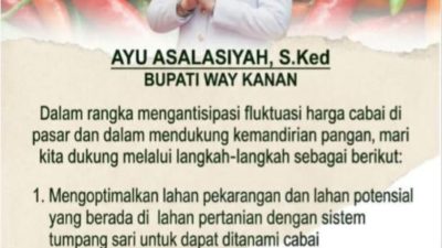 Kejar Swasembada Cabai, Bupati Way Kanan Instruksikan Warga Manfaatkan Lahan Pekarangan