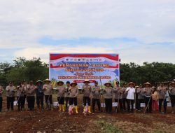 POLRES BENGKULU UTARA DUKUNG KETAHANAN PANGAN, KAPOLRES PIMPIN TANAM JAGUNG KUARTAL II TAHUN 2026